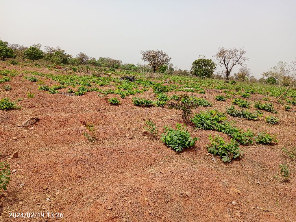 Photo de l'infrastructure