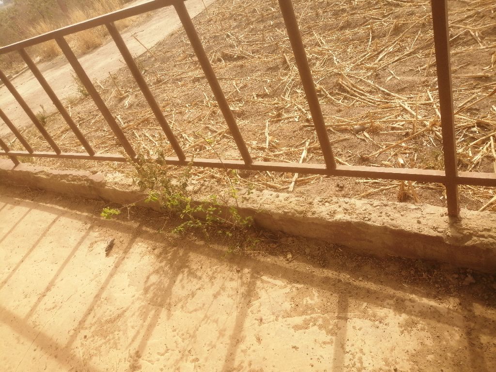 Photo de l'infrastructure