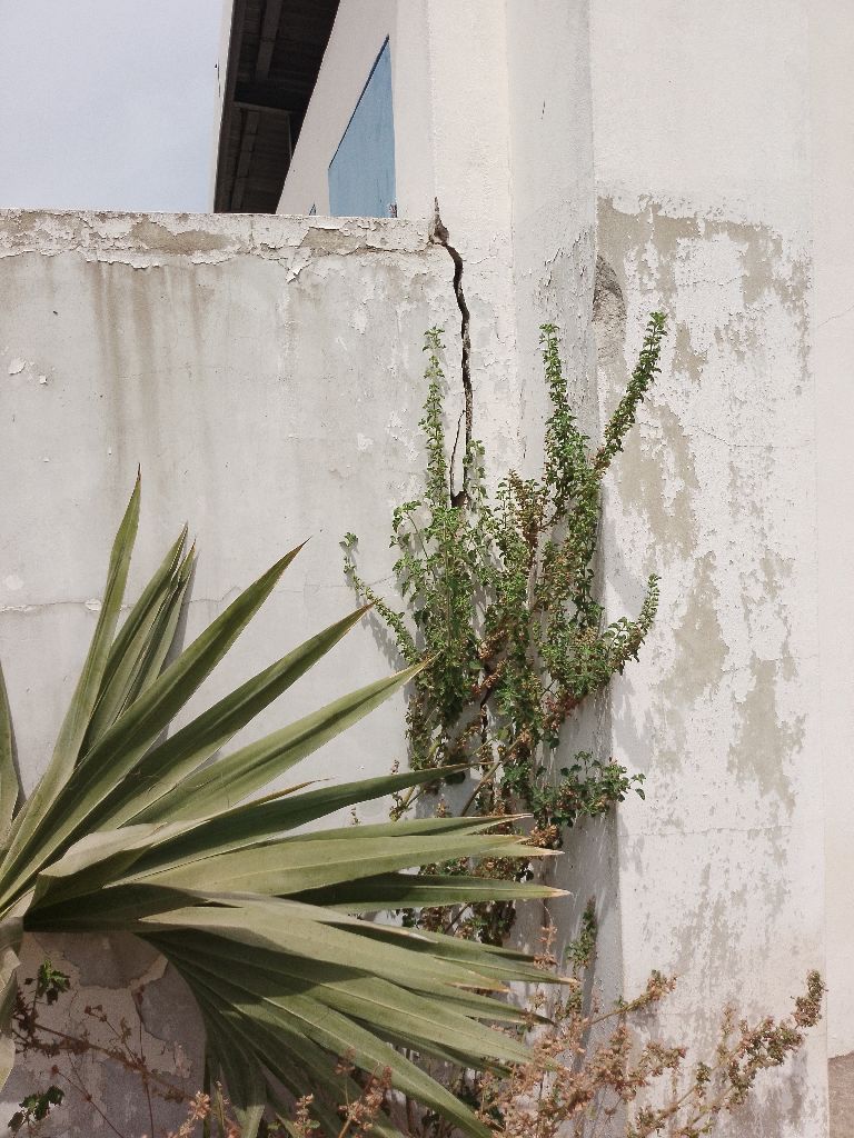 Photo de l'infrastructure